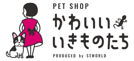 かわいいいきものたち | 東京・池袋にある日本最大級の総合ペットショップ