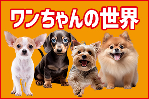 わんちゃん図鑑