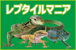 爬虫類図鑑