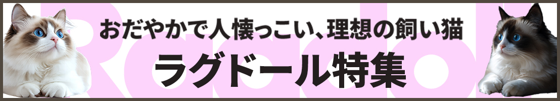 トリミング
