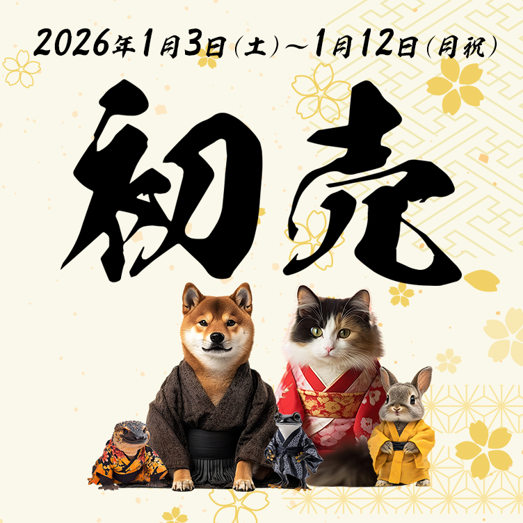 2026初売り
