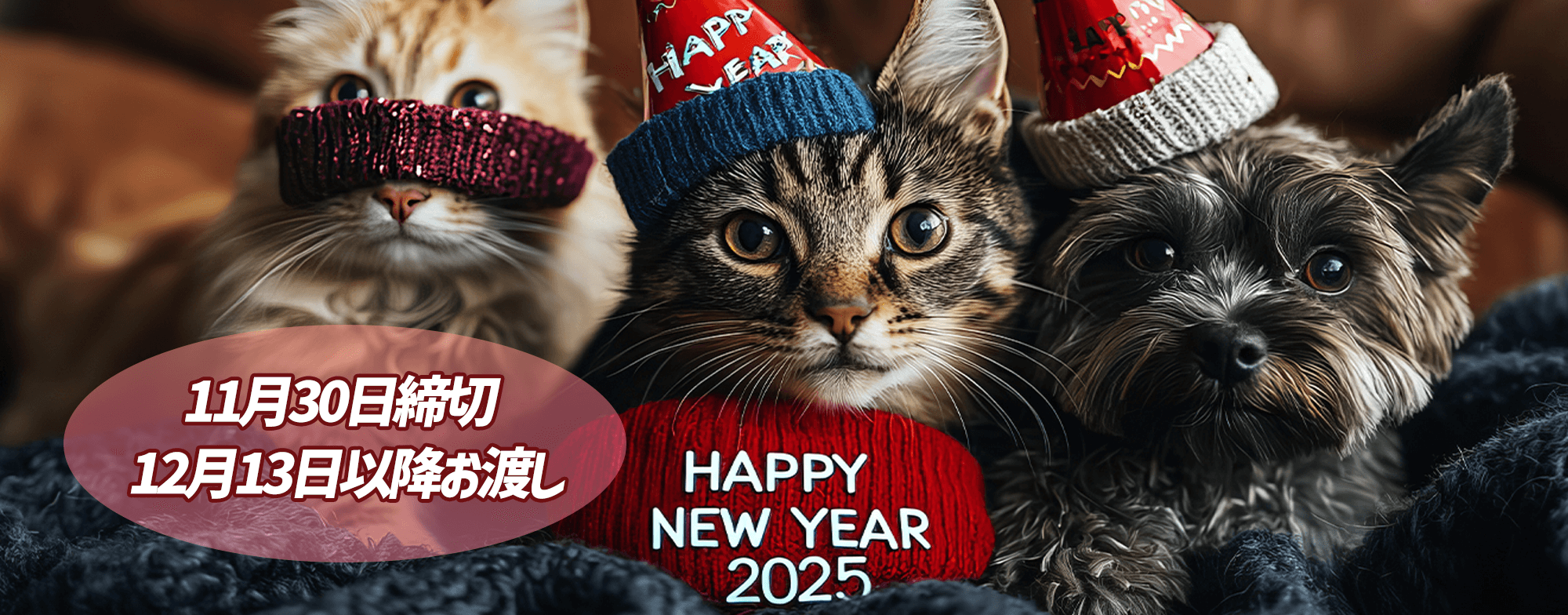 かわいいいきものたちオンライン相談会